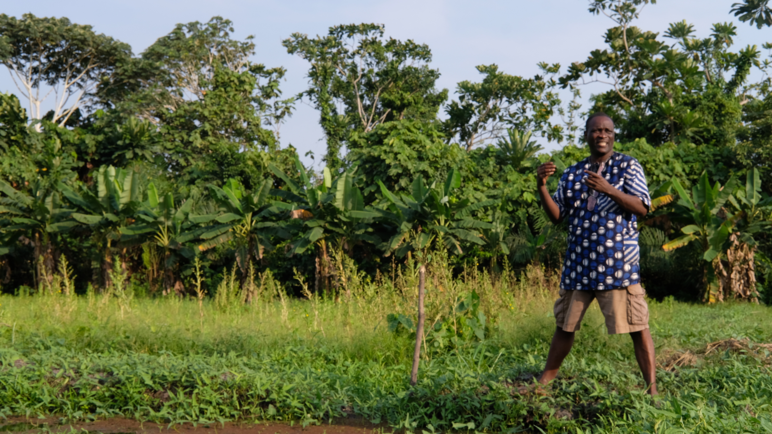 Lancement d’un ouvrage sur l’usage des pesticides chimiques de synthèse non homologués en agriculture dans Vallée de l’Ouémé (Bénin)