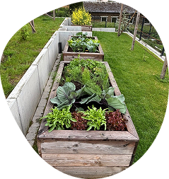Jardin Teranga
