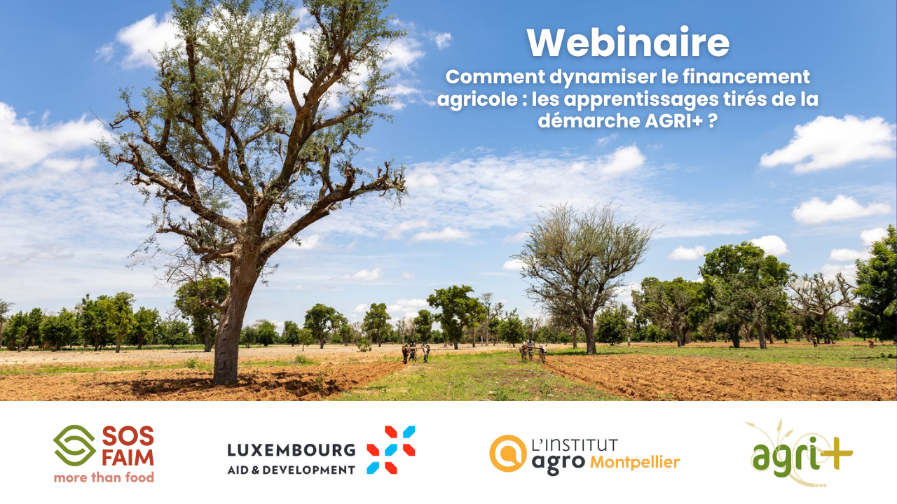 Financement agricole au Sahel : les enseignements du programme AGRI+ partagés lors d’un webinaire